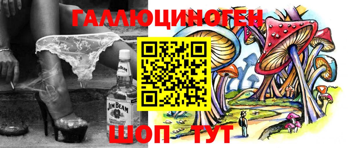 Псилоцибиновые грибы Cubensis Новоалександровск