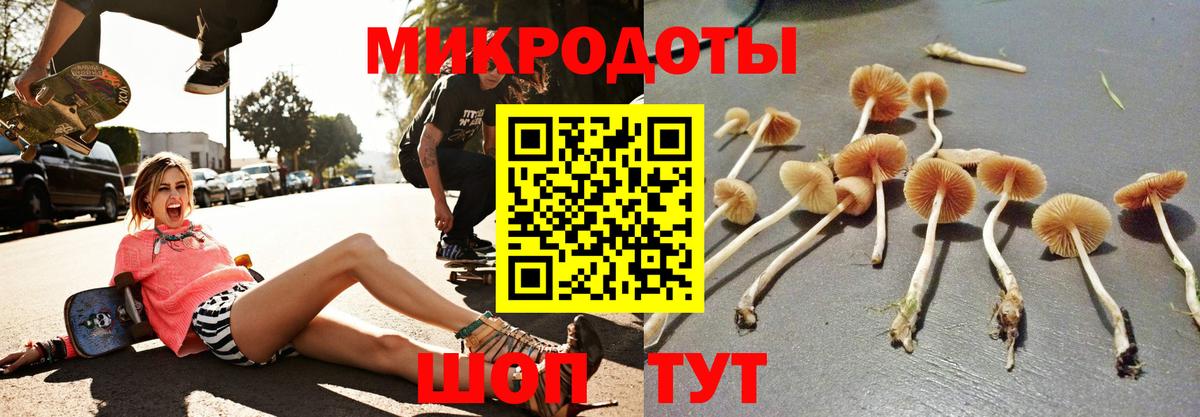 Галлюциногенные грибы прущие грибы  Вход с VPN  Новоалександровск 
