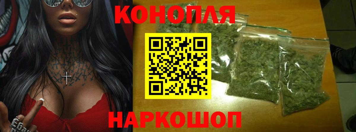Конопля план Новоалександровск